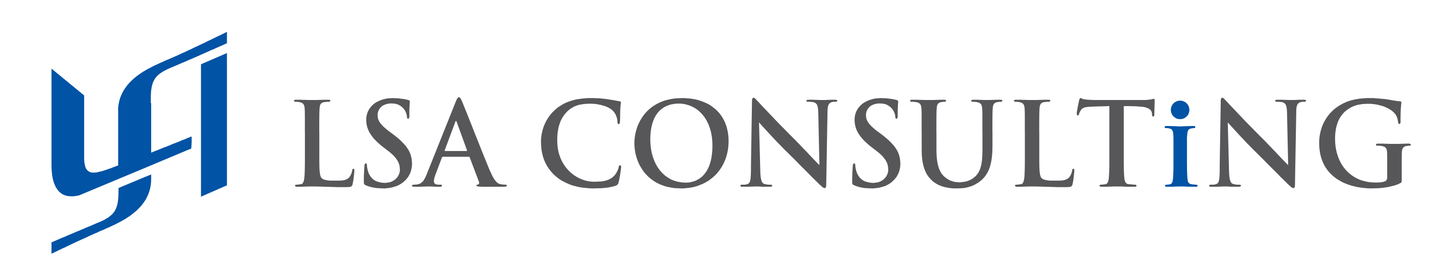 LSA CONSULTiNG